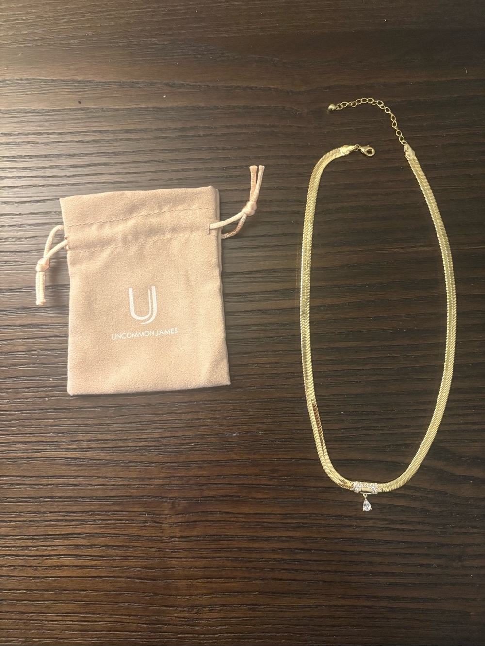 NEW Uncommon James Gold Ritz Chain Necklace